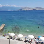 Padre **** *